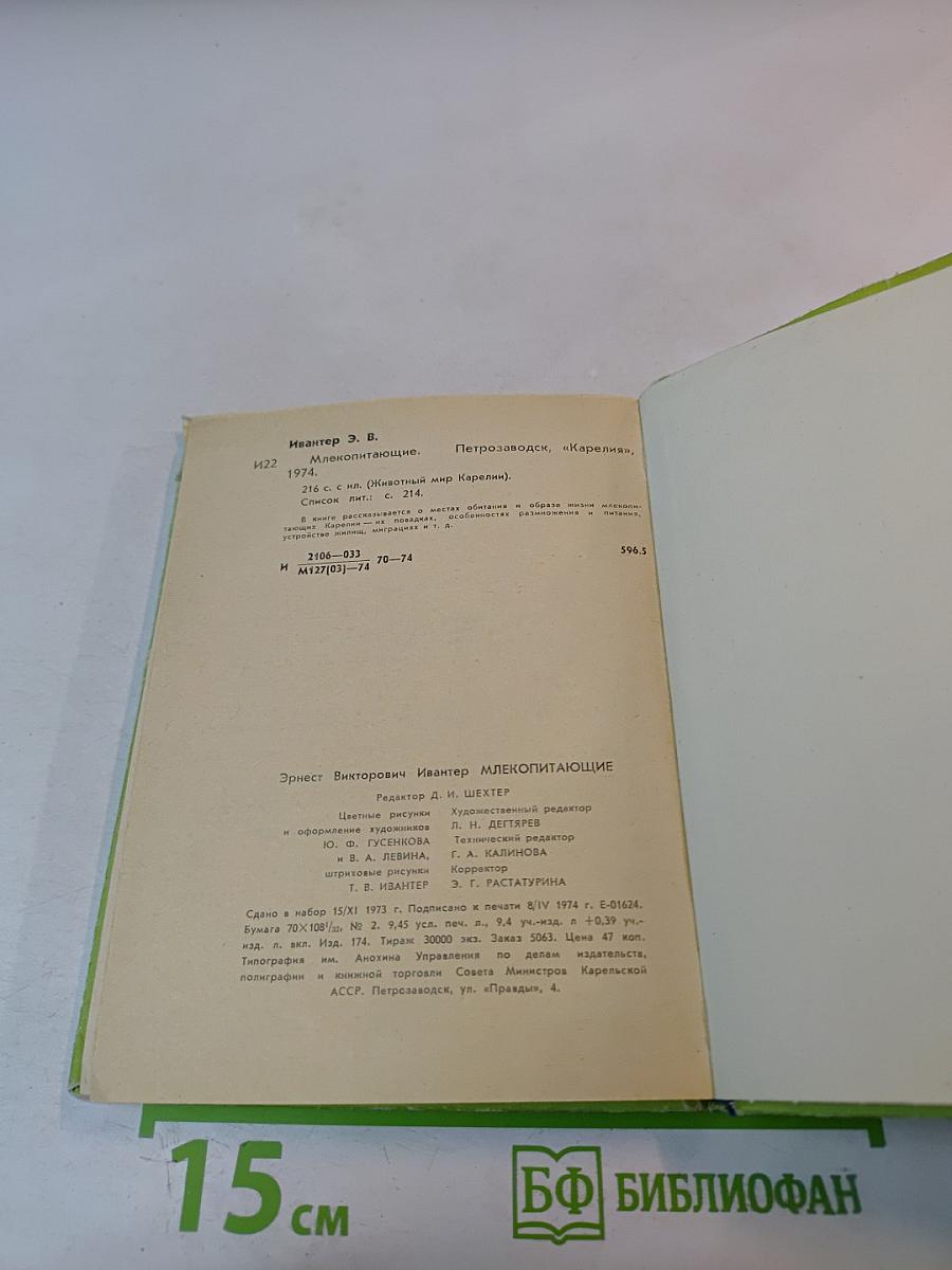 Млекопитающие