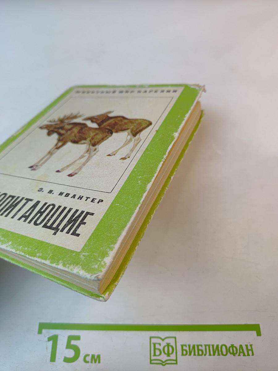 Млекопитающие