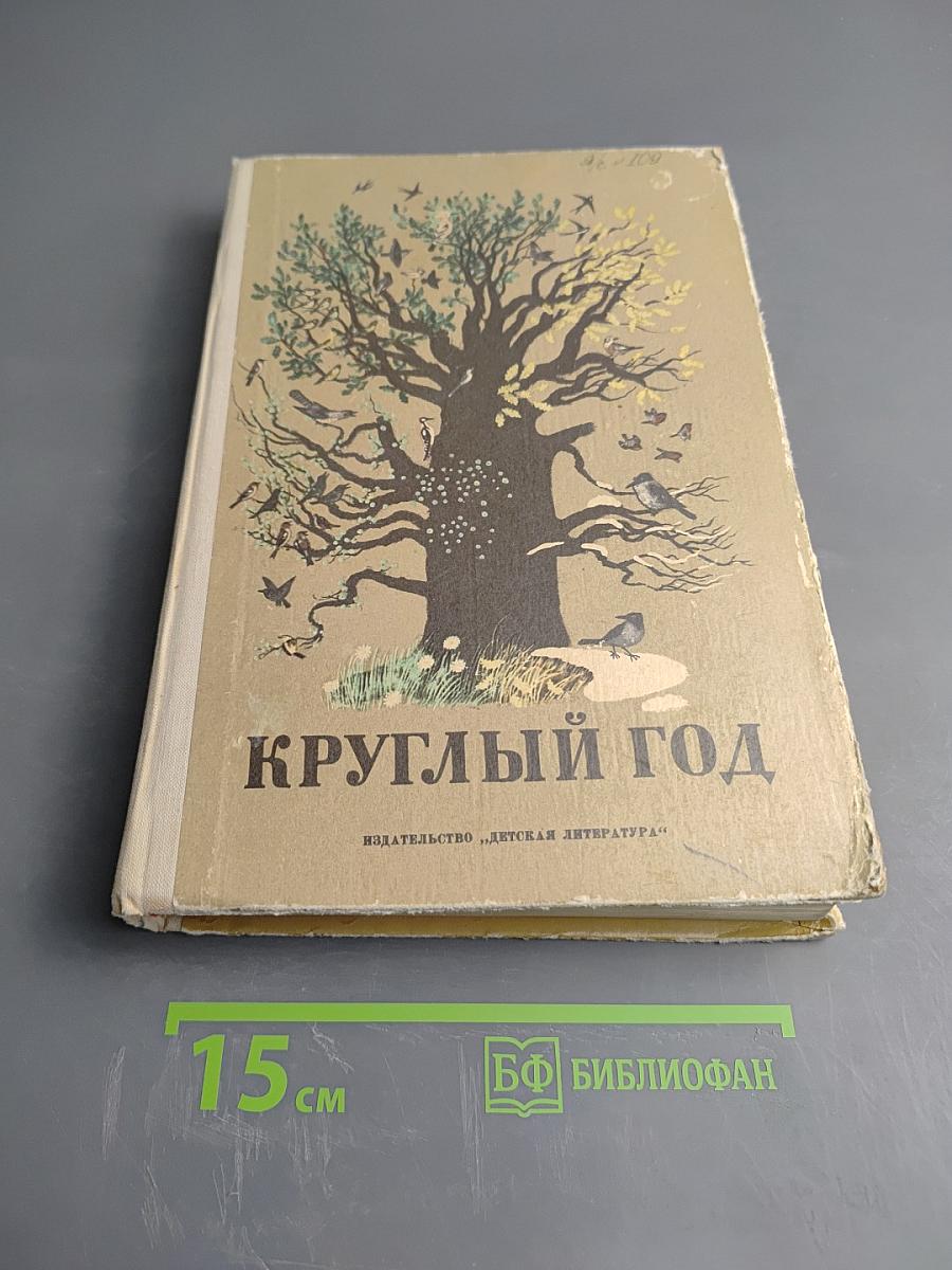 Круглый год