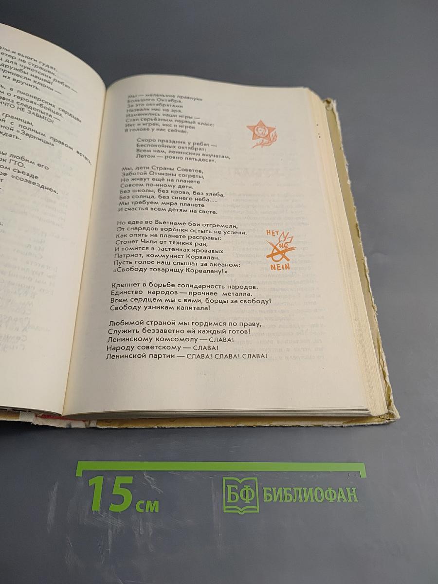 Круглый год