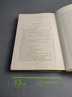 Круглый год