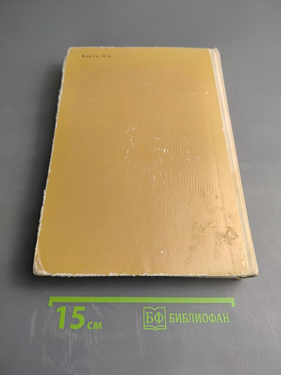 Круглый год