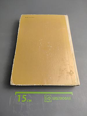 Круглый год