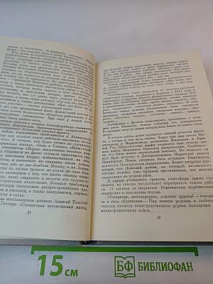 Дневник и Память