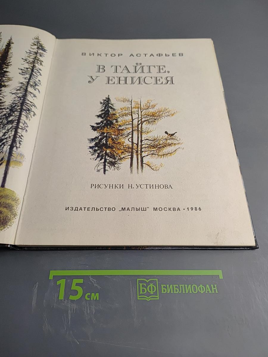 В тайге, у Енисея