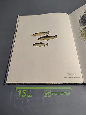 В тайге, у Енисея