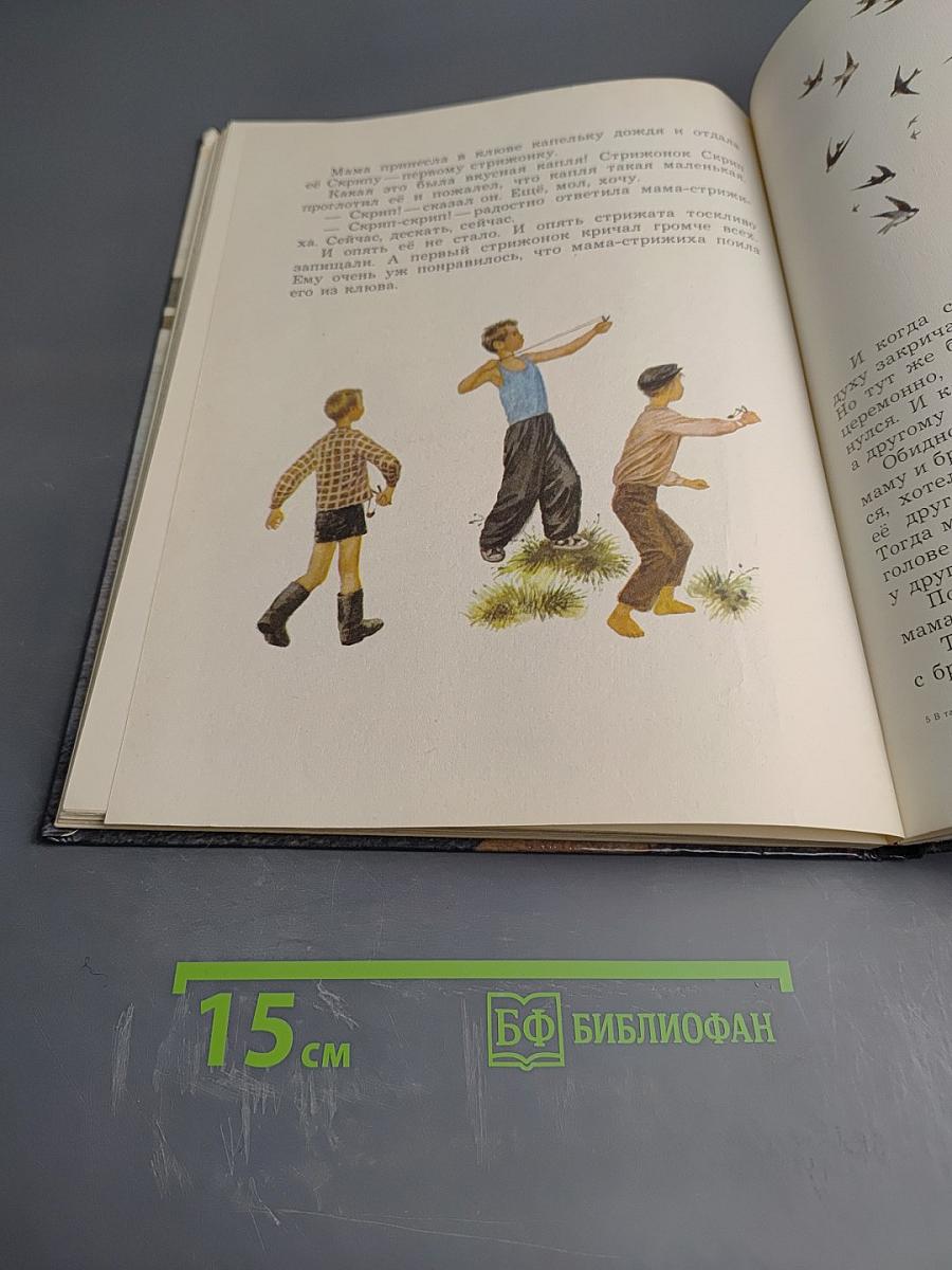 В тайге, у Енисея