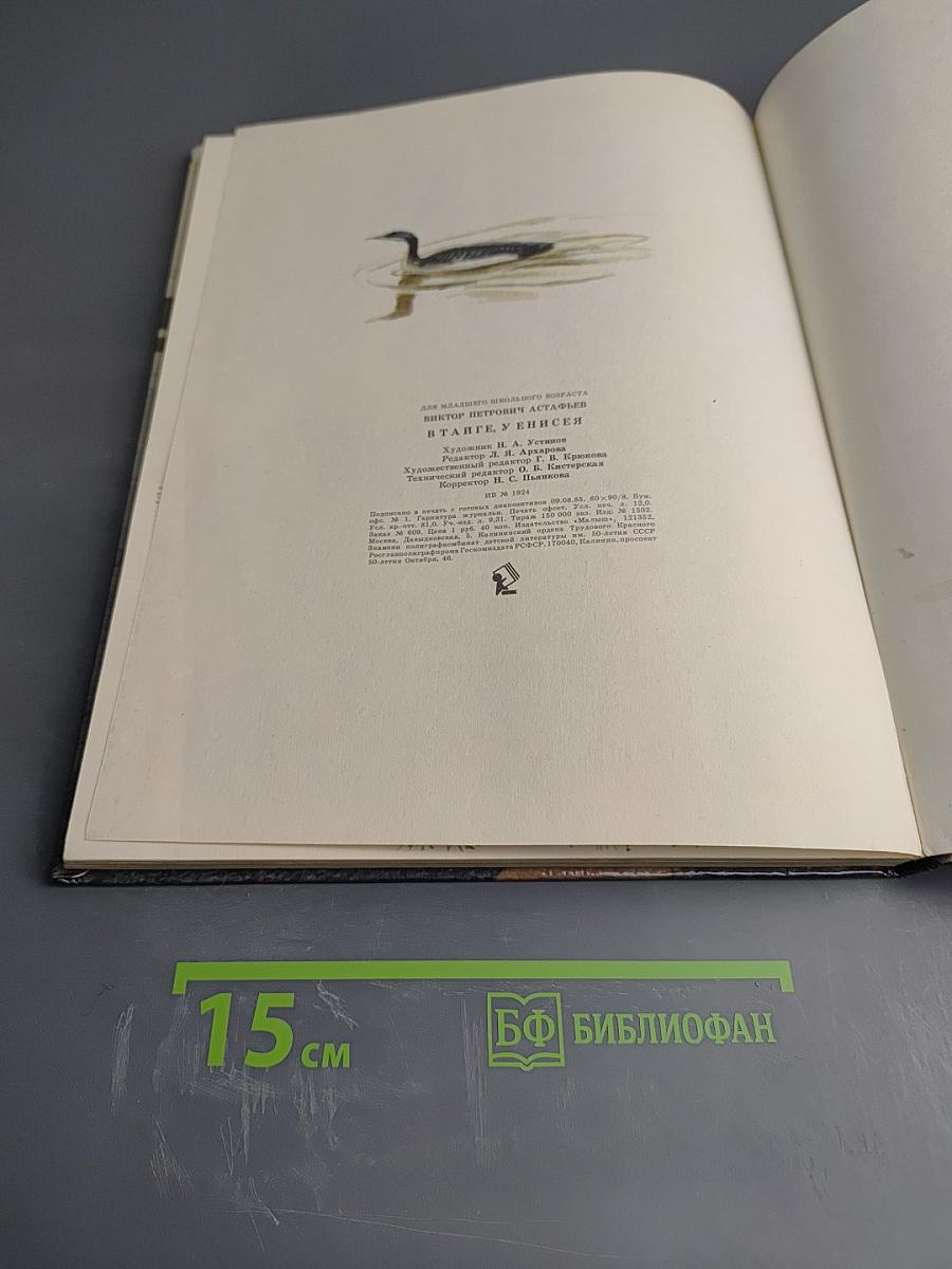 В тайге, у Енисея