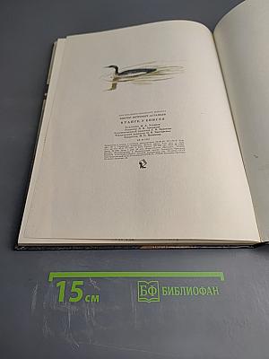 В тайге, у Енисея