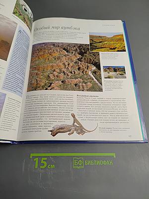 Австралия и Новая Зеландия