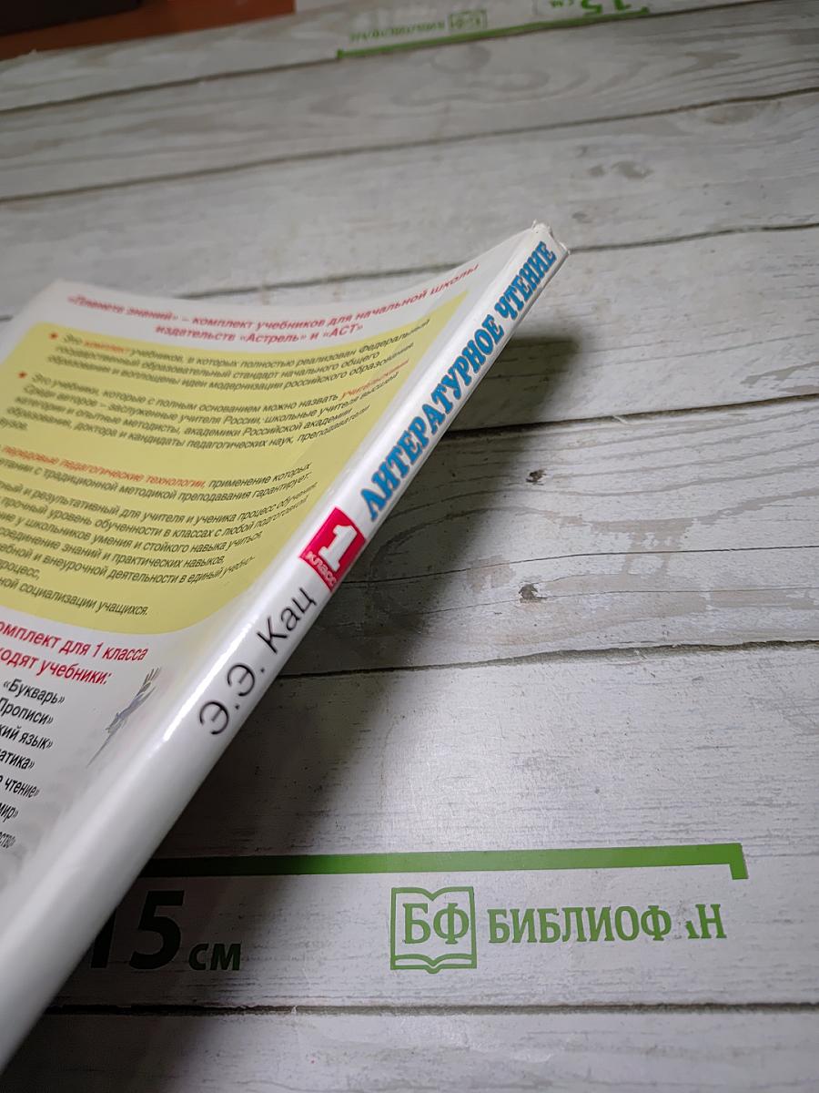 Литературное чтение 1 класс