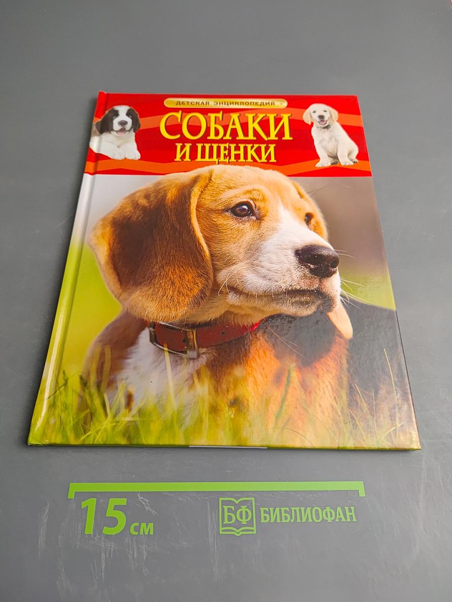 Собаки и щенки