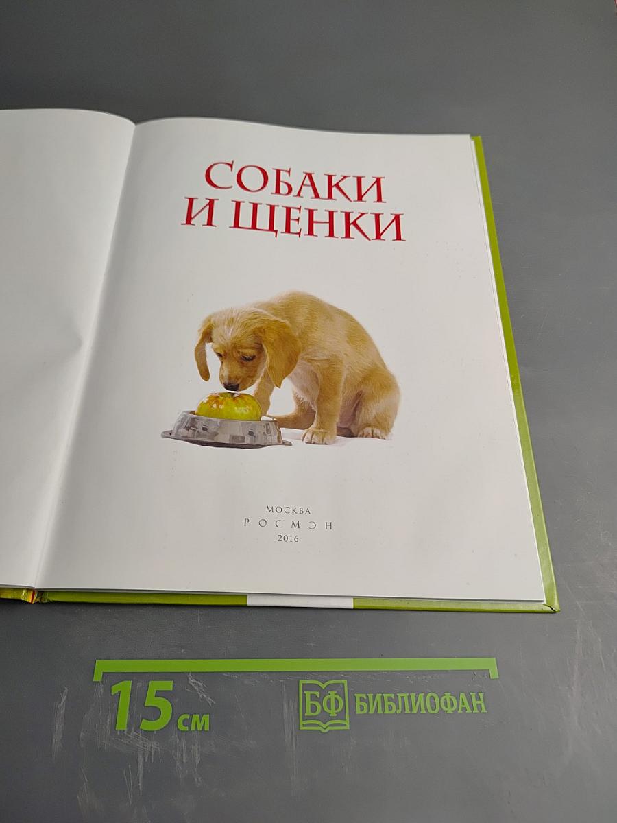 Собаки и щенки