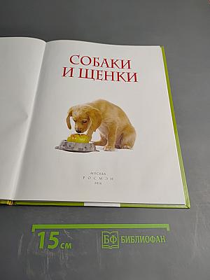 Собаки и щенки