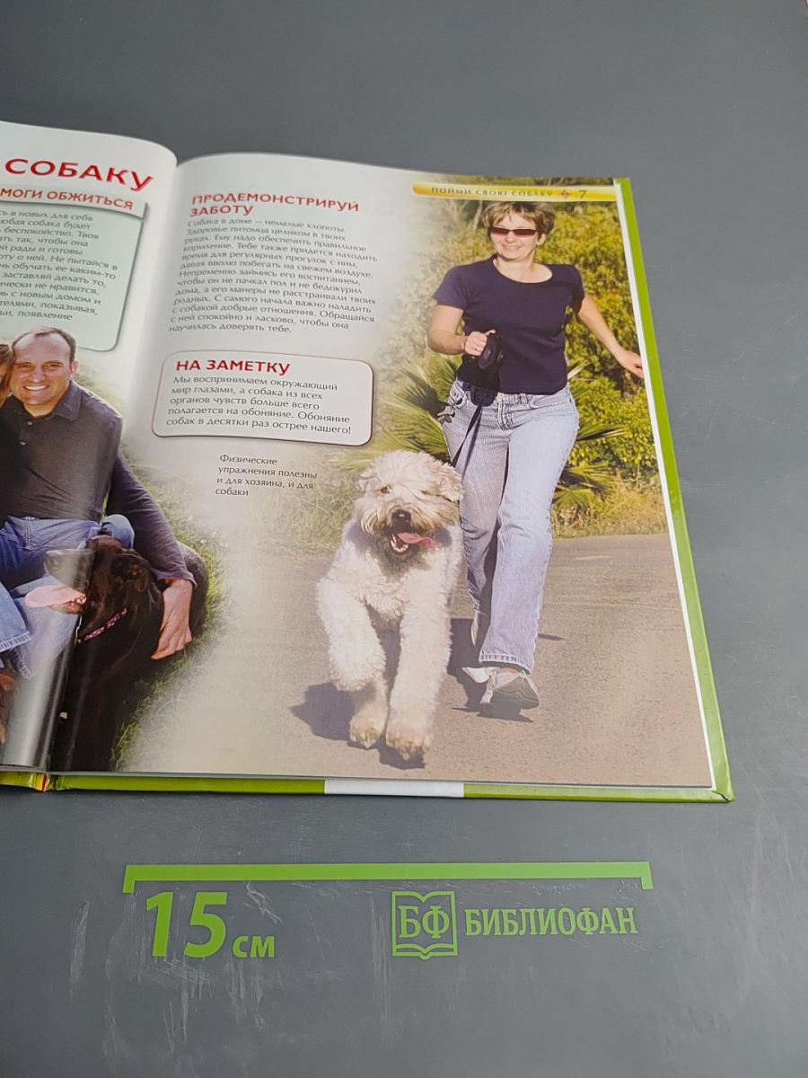 Собаки и щенки