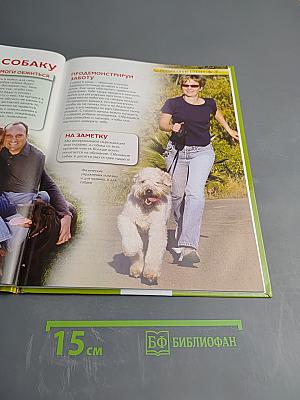 Собаки и щенки