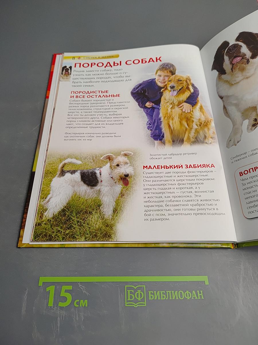 Собаки и щенки