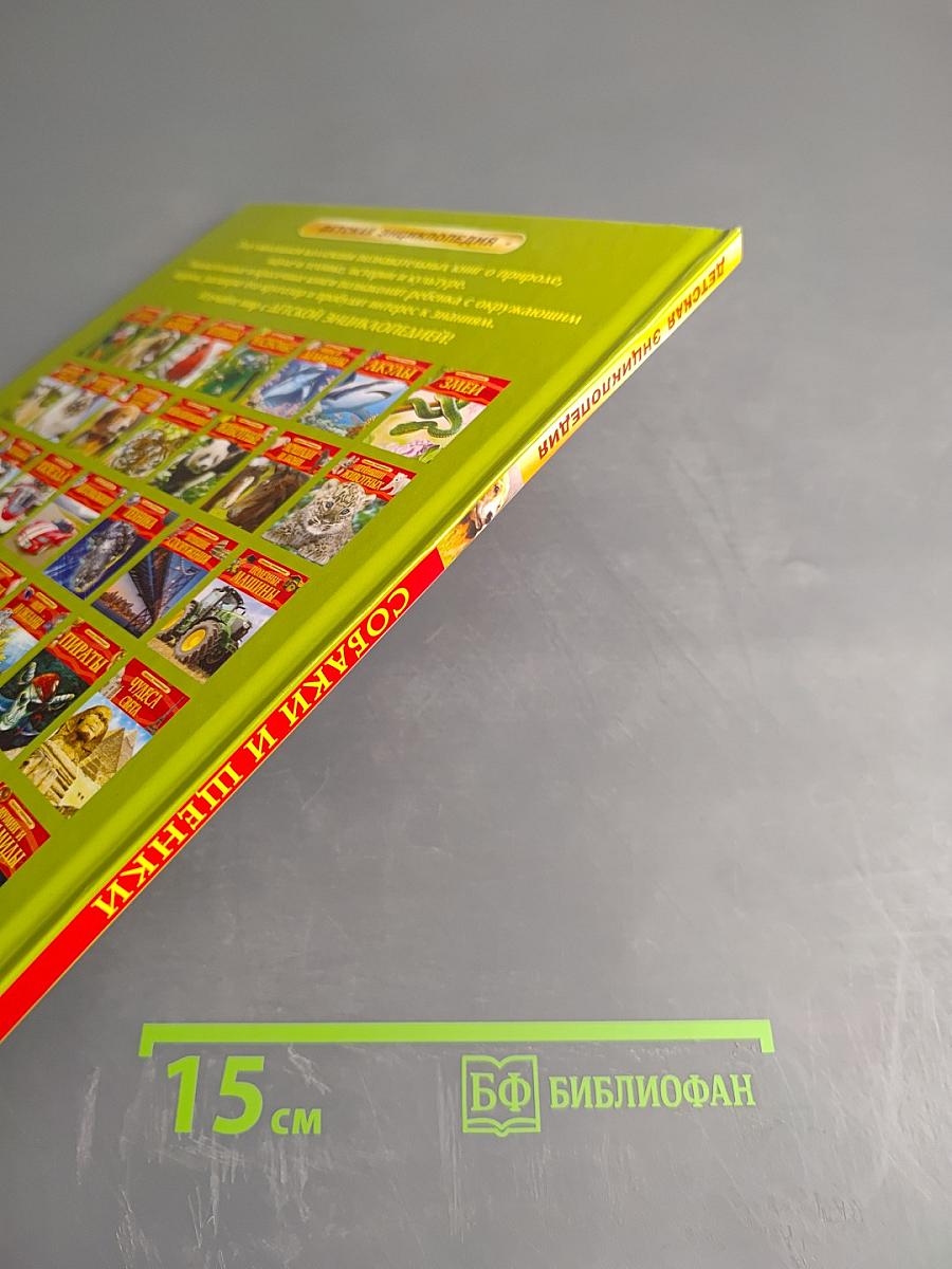 Собаки и щенки