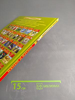 Собаки и щенки