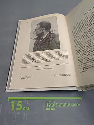 Свидетельства. Дневник критика 1970-1974
