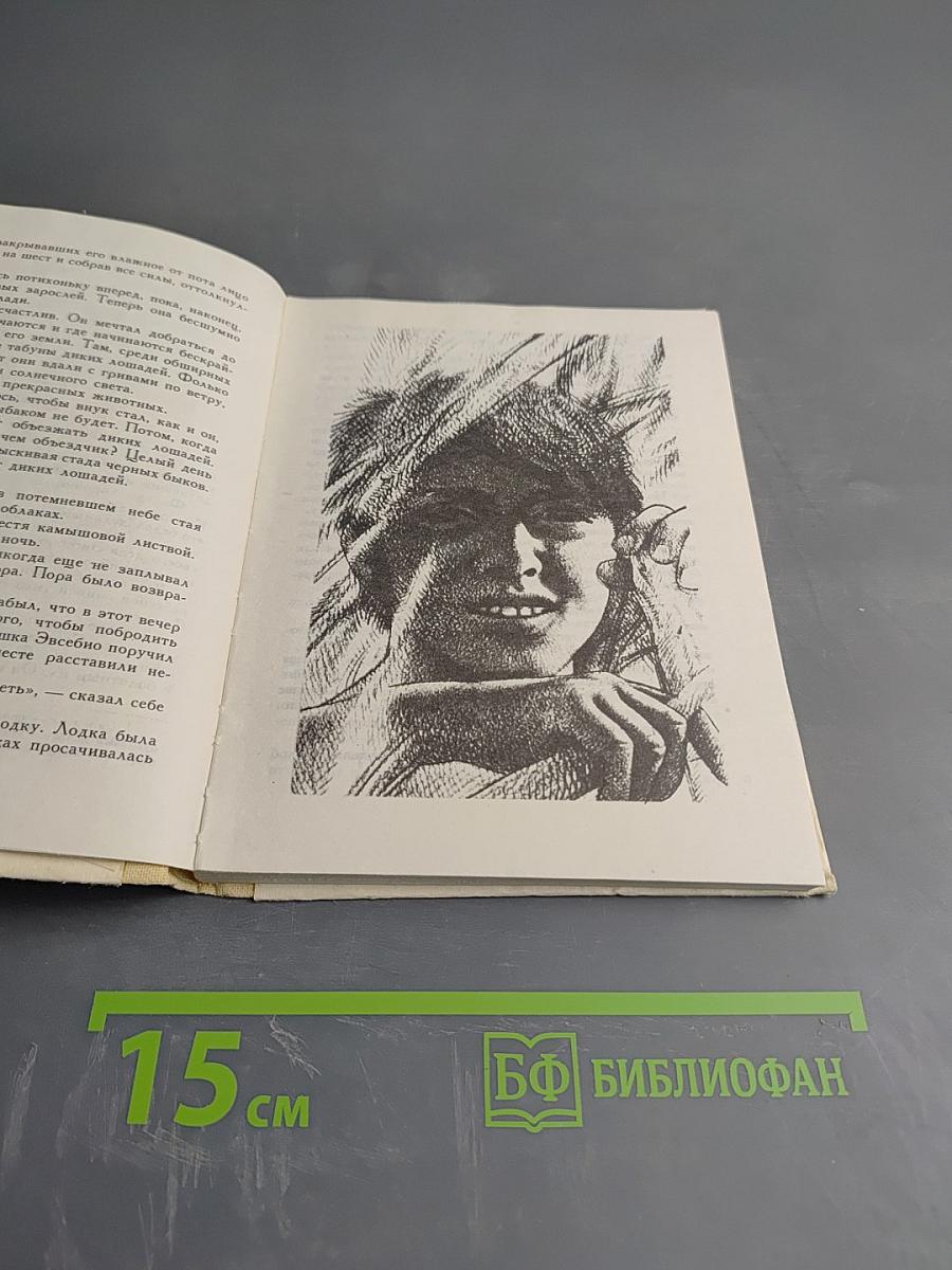 Белая грива