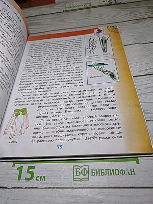 Окружающий мир 4 класс. Часть 1