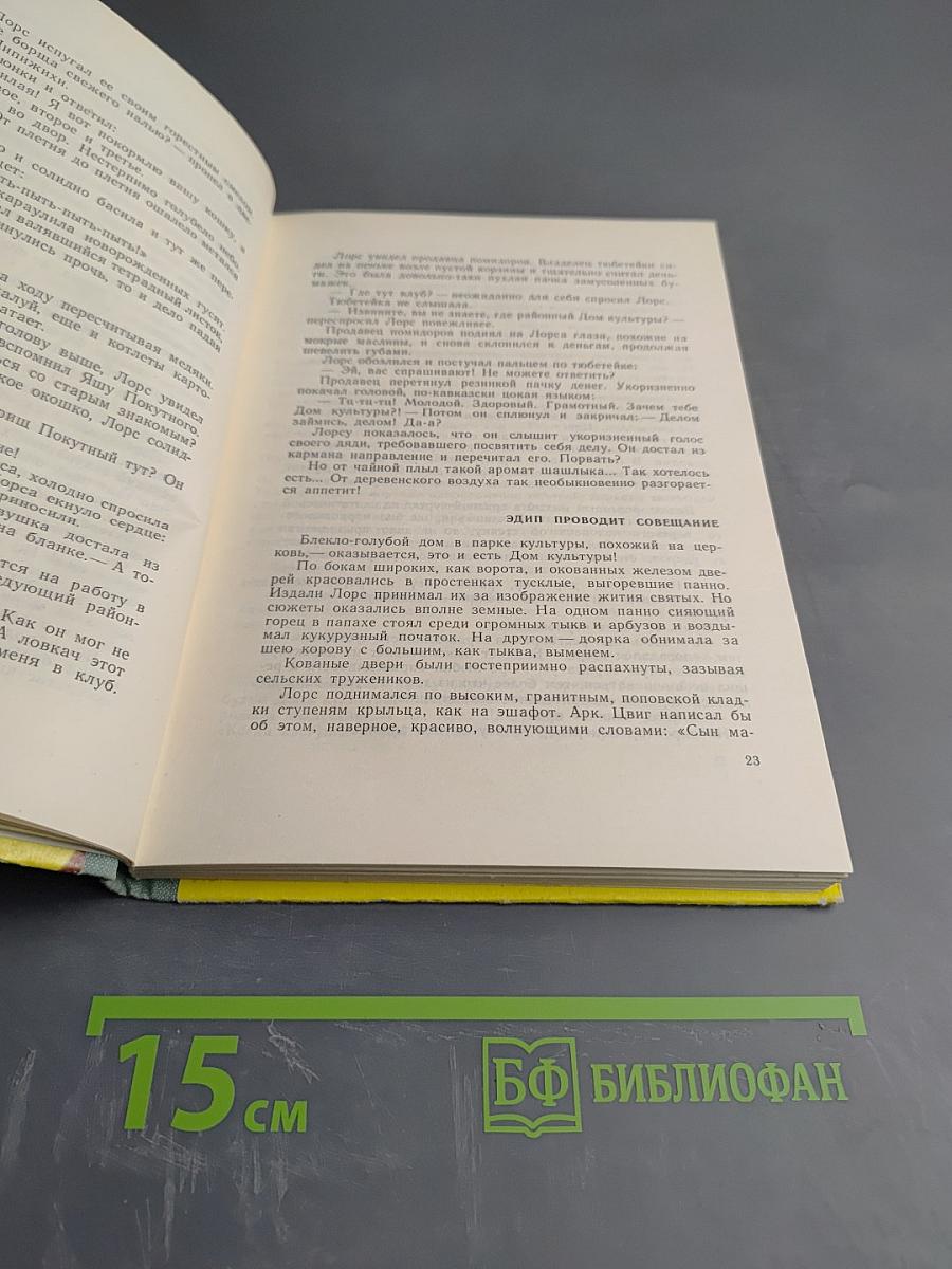 Лоре рисует афишу