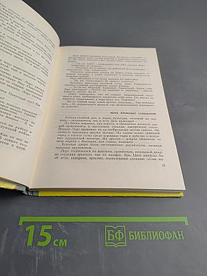 Лоре рисует афишу