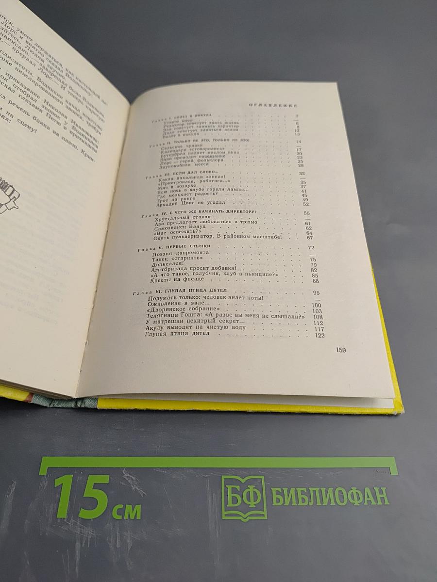 Лоре рисует афишу