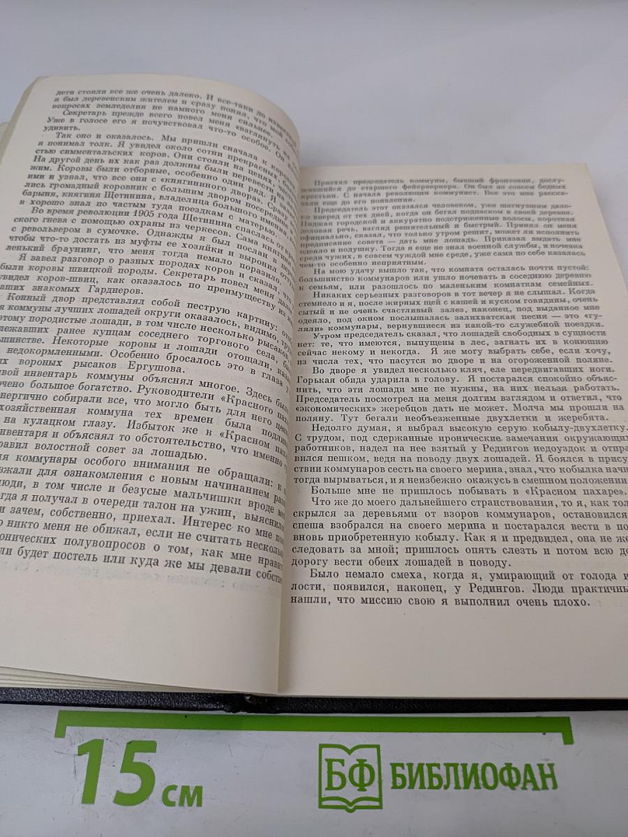 Миражи и действительность. Записки эмигранта