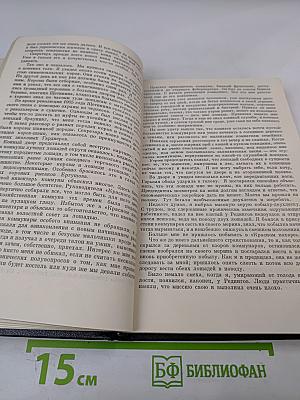 Миражи и действительность. Записки эмигранта
