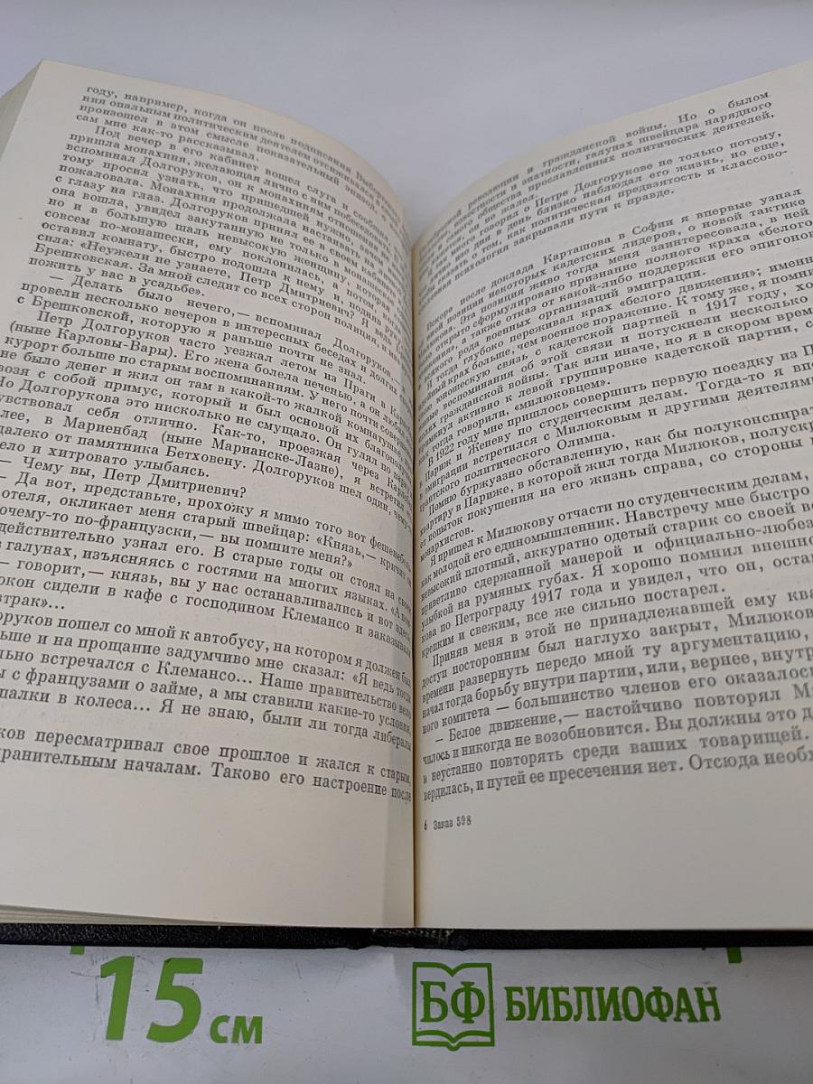 Миражи и действительность. Записки эмигранта