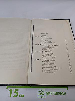 Миражи и действительность. Записки эмигранта