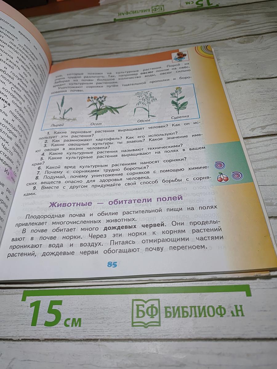 Окружающий мир 4 класс. Часть 1