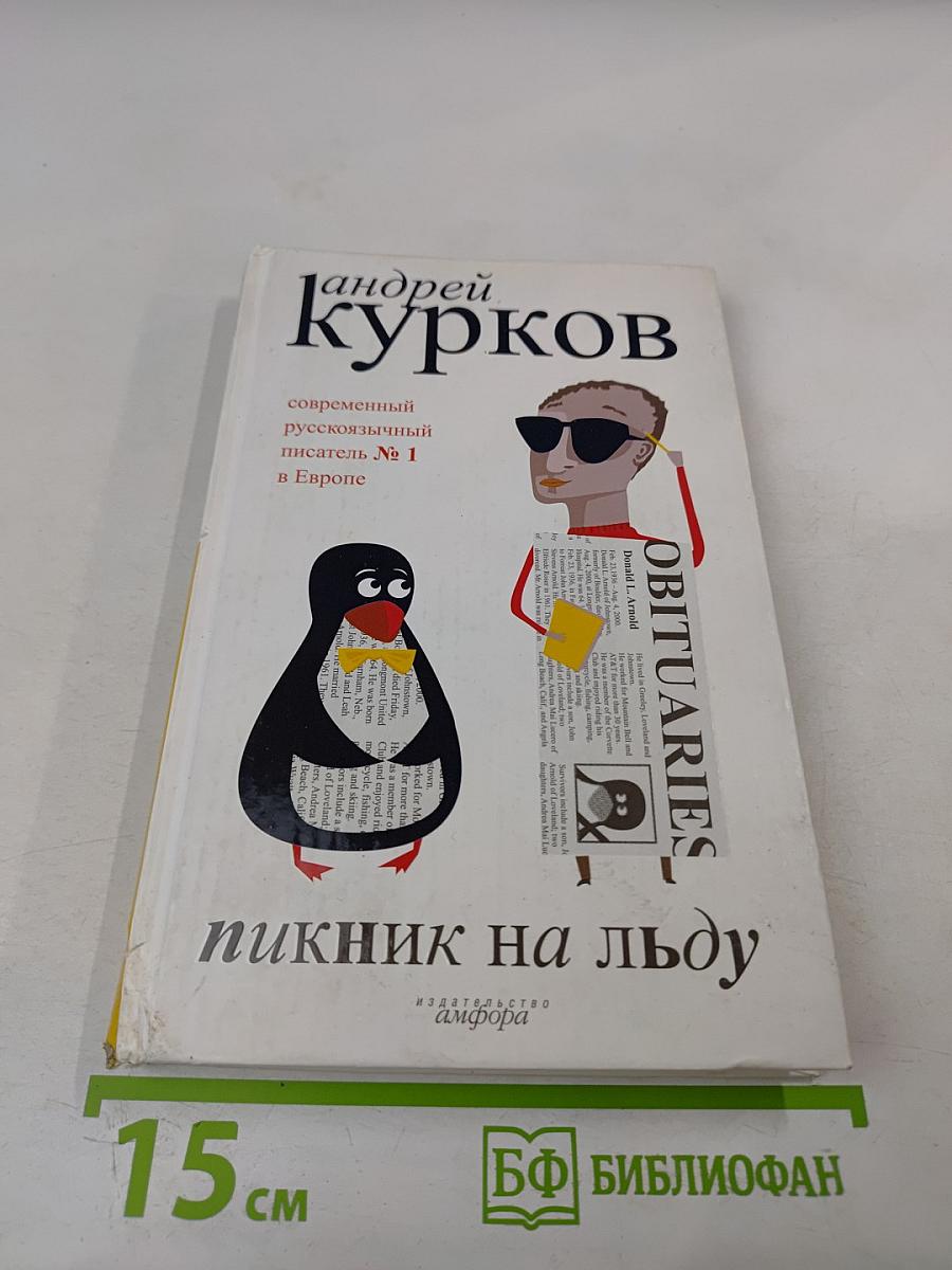 Пикник на льду