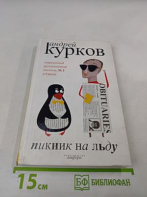 Пикник на льду