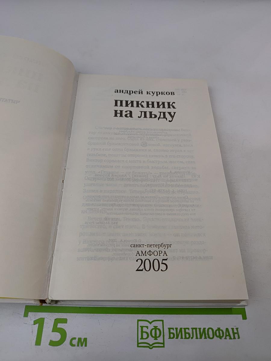 Пикник на льду