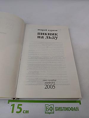 Пикник на льду