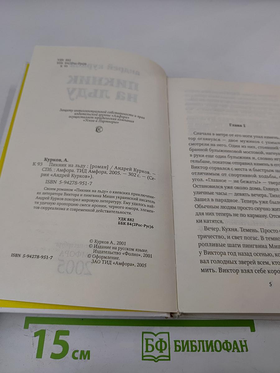 Пикник на льду