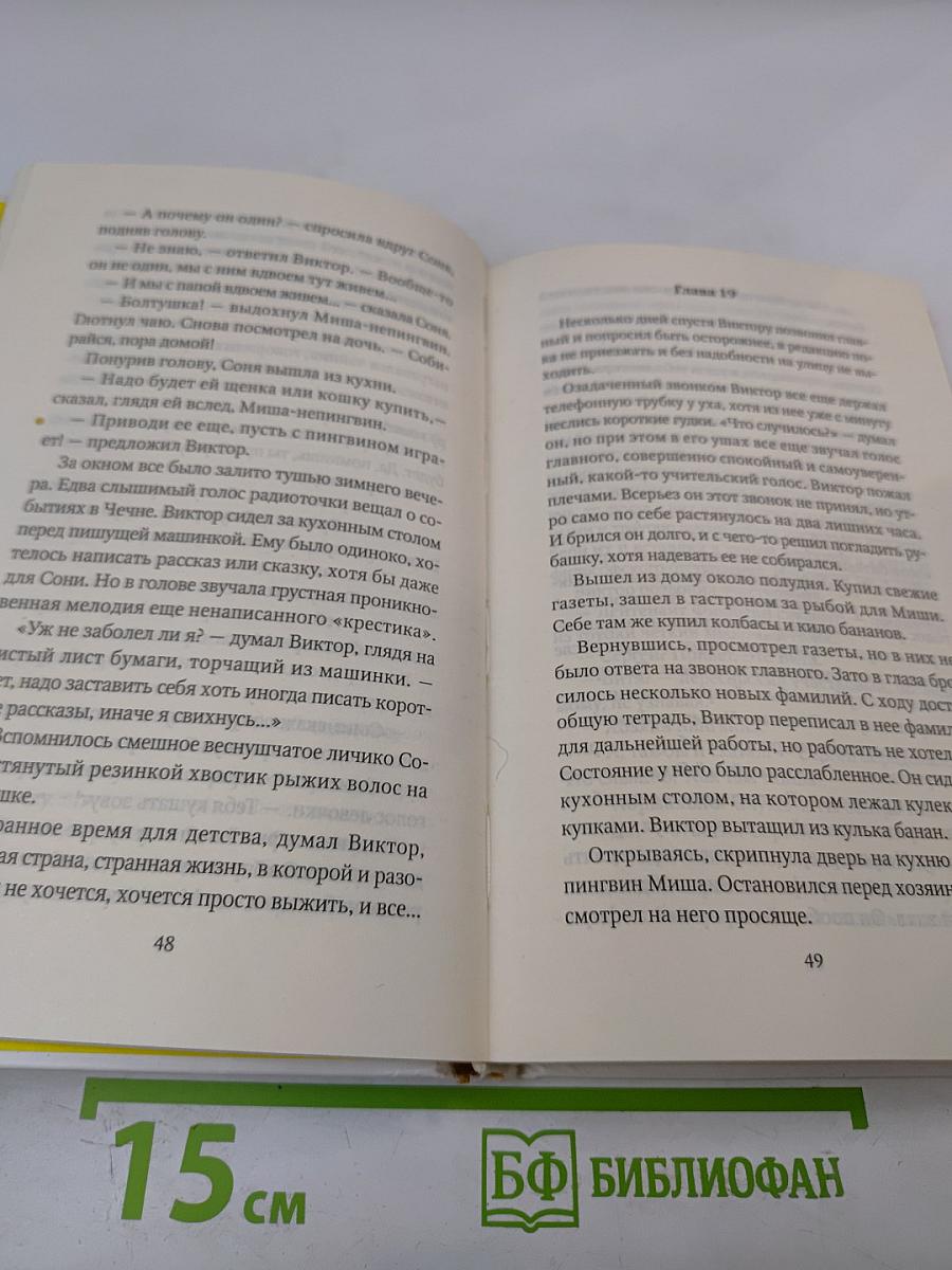 Пикник на льду