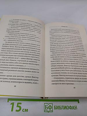 Пикник на льду