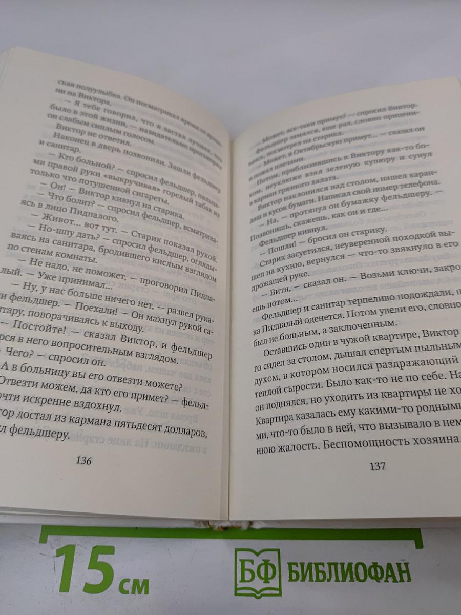 Пикник на льду