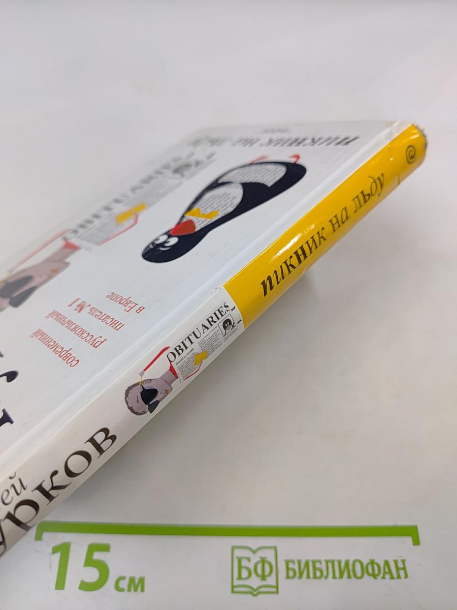 Пикник на льду