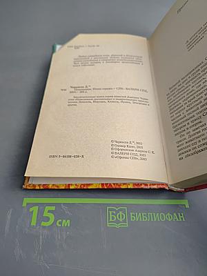 Невидимки. Пятая стража