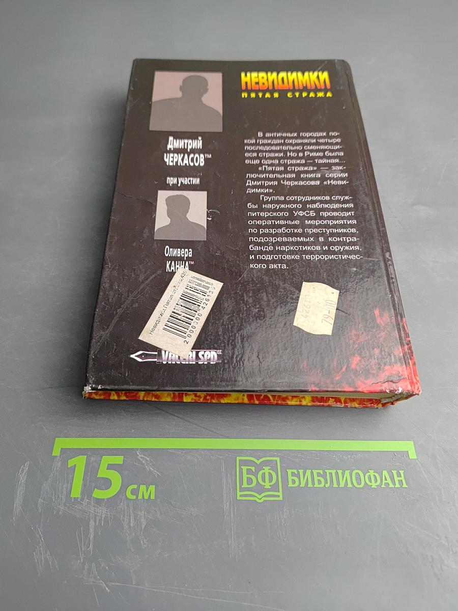 Невидимки. Пятая стража