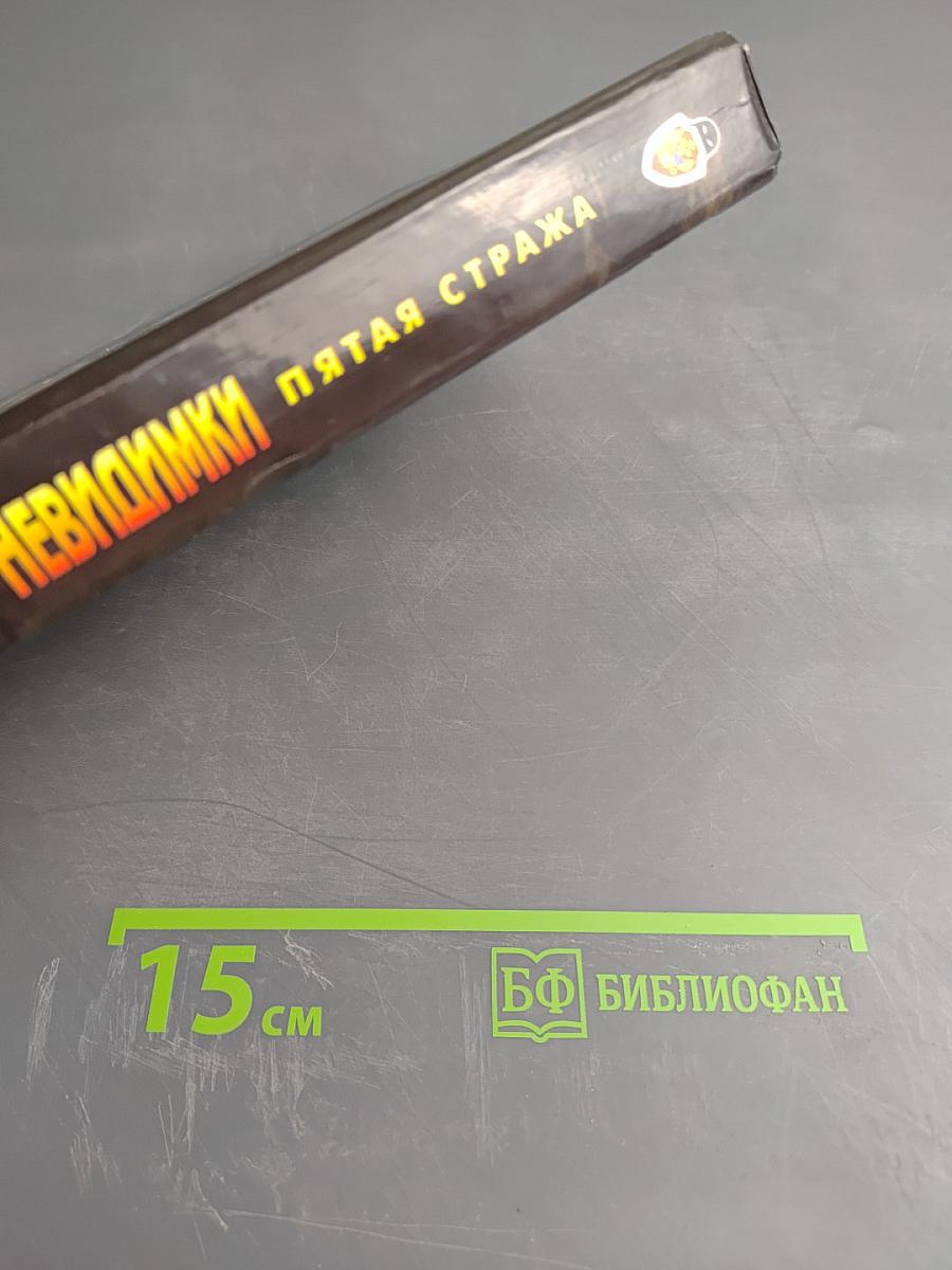 Невидимки. Пятая стража