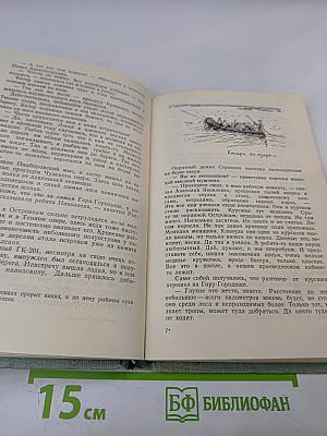 Загадка Чудского озера