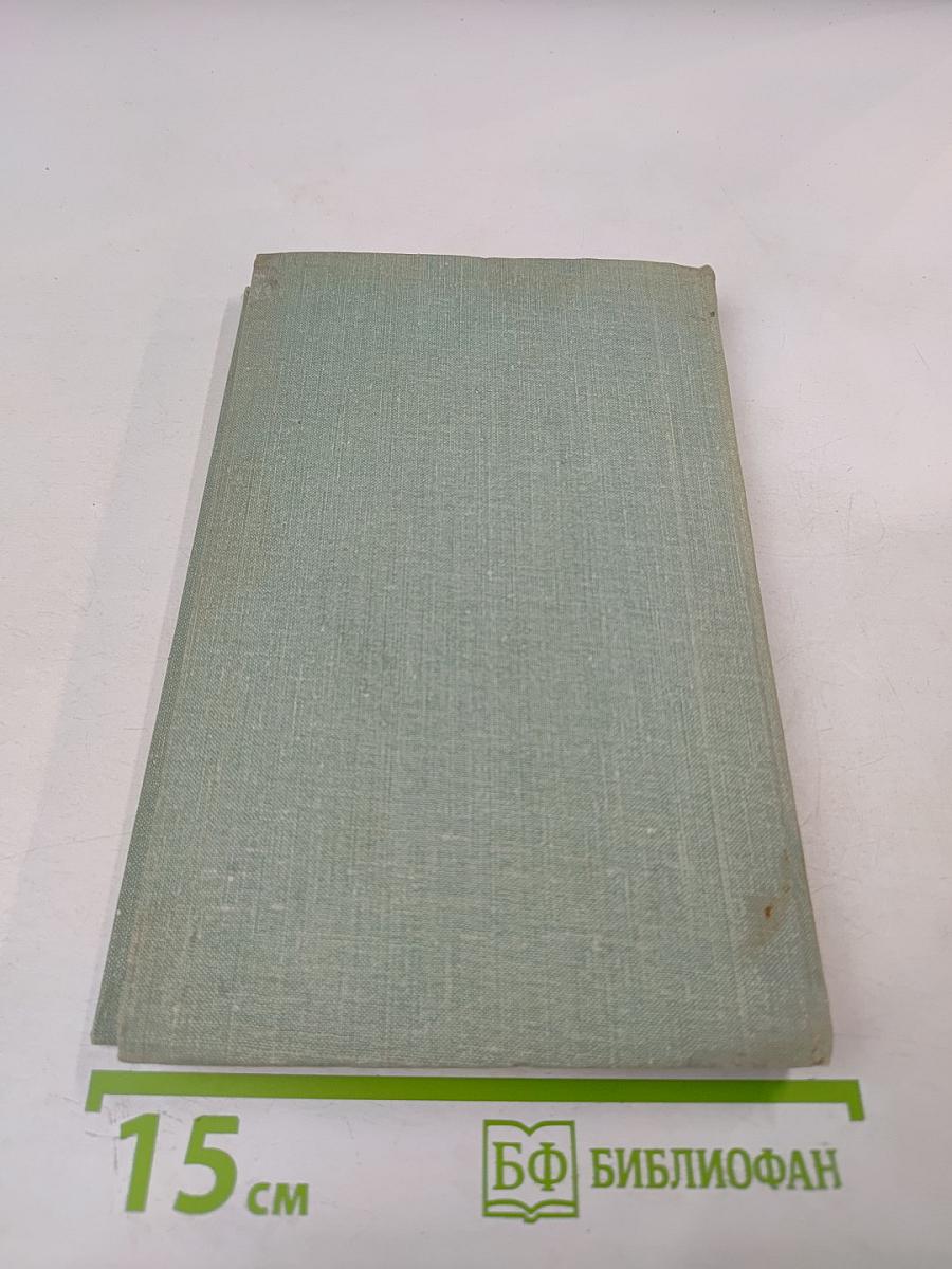 Загадка Чудского озера