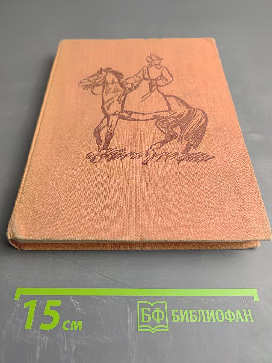 Двенадцать поленьев