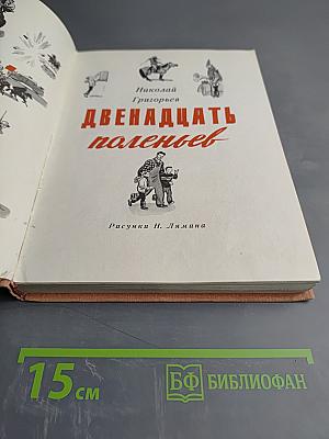 Двенадцать поленьев